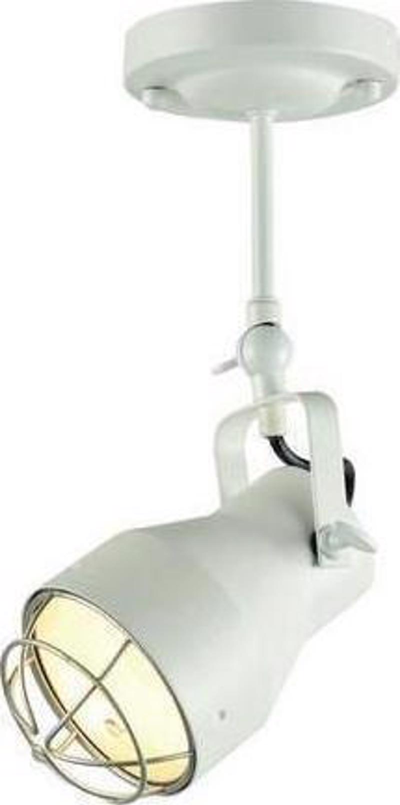 agiovlasitishome Διακοσμητικά τοίχου - ΣΗΜΑΝΤΙΚΟ: Σε περίπτωση διαφοράς τιμής από το κατάστημα ισχύει παντα και μόνο η τιμή του καταστήματος ACA Σποτ Οροφής Μεταλλικό 'Dakota' Λευκό/Ασημί Ε27 16Χ3