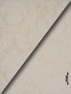 ufasma Gza 'Admiration' diathesimo se 4 Apoxroseis