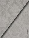 ufasma Gza 'Admiration' diathesimo se 4 Apoxroseis