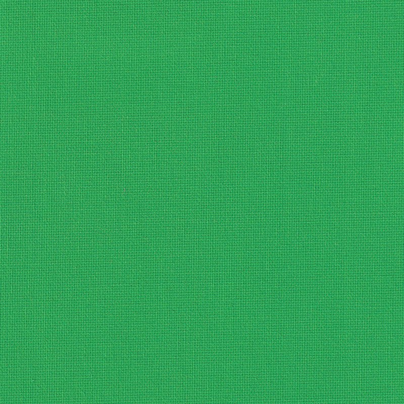 Ρόλερ Σκίασης Μονόχρωμο 1250.9250 Πράσινο