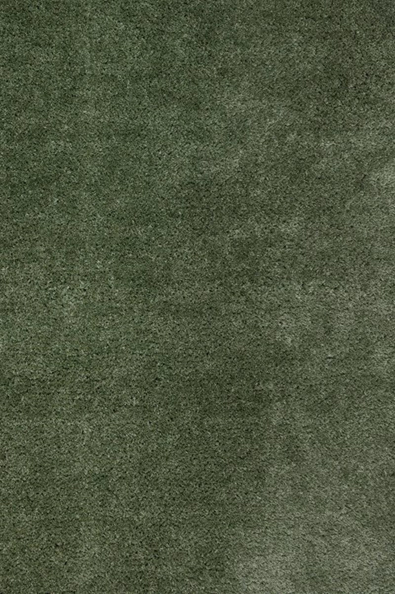 Biokarpet Home - ΣΗΜΑΝΤΙΚΟ: Σε περίπτωση διαφοράς τιμής από το κατάστημα ισχύει παντα και μόνο η τιμή του καταστήματος ΒΙΟΚΑΡΠΕΤ Υφαντή Μοκέτα 'Caress' 250-40 Green σε Επιθυμ