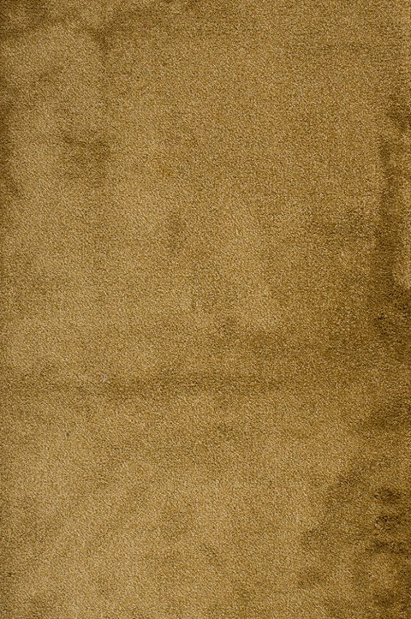 Χαλιά agiovlasitishome - ΣΗΜΑΝΤΙΚΟ: Σε περίπτωση διαφοράς τιμής από το κατάστημα ισχύει παντα και μόνο η τιμή του καταστήματος ΒΙΟΚΑΡΠΕΤ Μοκέτα 'Janis' 50 σε Επιθυμητή Διάσταση με το