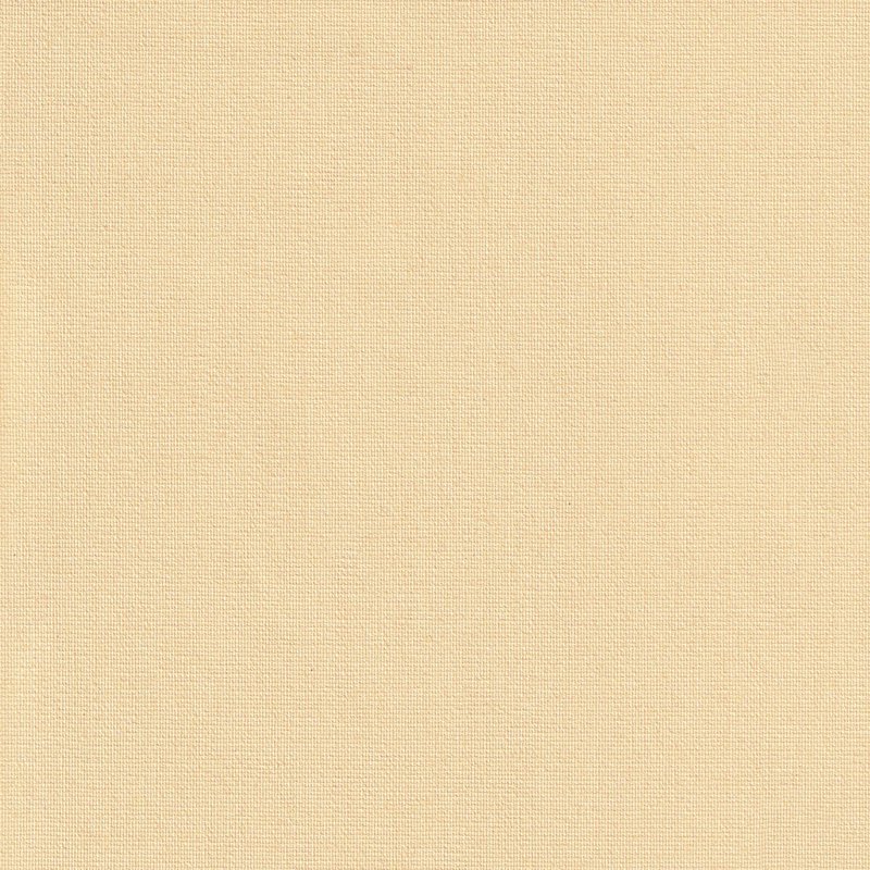 Anartisi Blackout Ρόλερ 2016 Mονόχρωμο