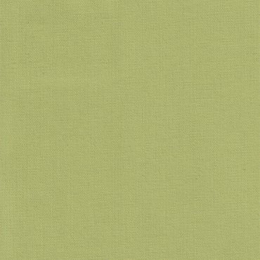 Anartisi Blackout Ρόλερ 2069 Mονόχρωμο Ανοιχτό Πράσινο