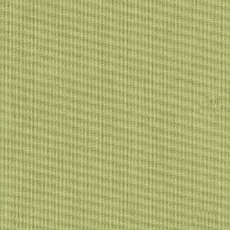 Κουρτίνες, στόρια agiovlasitishome - ΣΗΜΑΝΤΙΚΟ: Σε περίπτωση διαφοράς τιμής από το κατάστημα ισχύει παντα και μόνο η τιμή του καταστήματος Anartisi Blackout Ρόλερ 2069 Mονόχρωμο Ανοιχτό Πράσινο