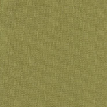 Anartisi Blackout Ρόλερ 2070 Mονόχρωμο Πράσινο Λαδί