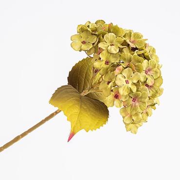 ESTHETI home Ορτανσία Πράσινη 17x45cm 600-45441