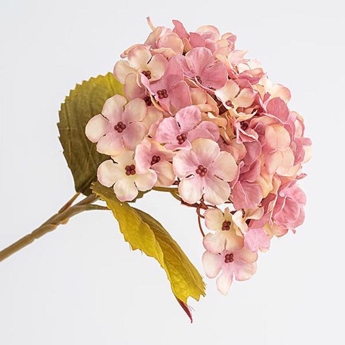 ESTHETI home Ortansia Bez/Roz 17x45cm 600-45442