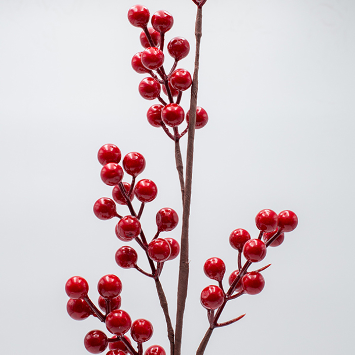 ESTHETI home Kladi Ploumisto me Kokkina Berries 70cm 600-47649