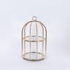 ESTHETI home Diorofi Ornterbiera Metalliki Xrusi me Kathrepti F23x42cm 754-11025