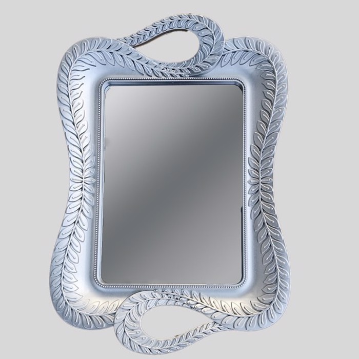 ESTHETI home Diskos me Kathrepti Plastikos Asimi 36x25ek 819-00463