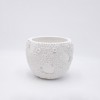 ESTHETI home Kaspo Tsimentenio Lefko F14x10cm 819-00489