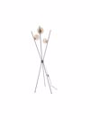 NG Santas Monterno 3Foto Fotistiko Dapedou Bronze G9 40x160ek 502-D-BR