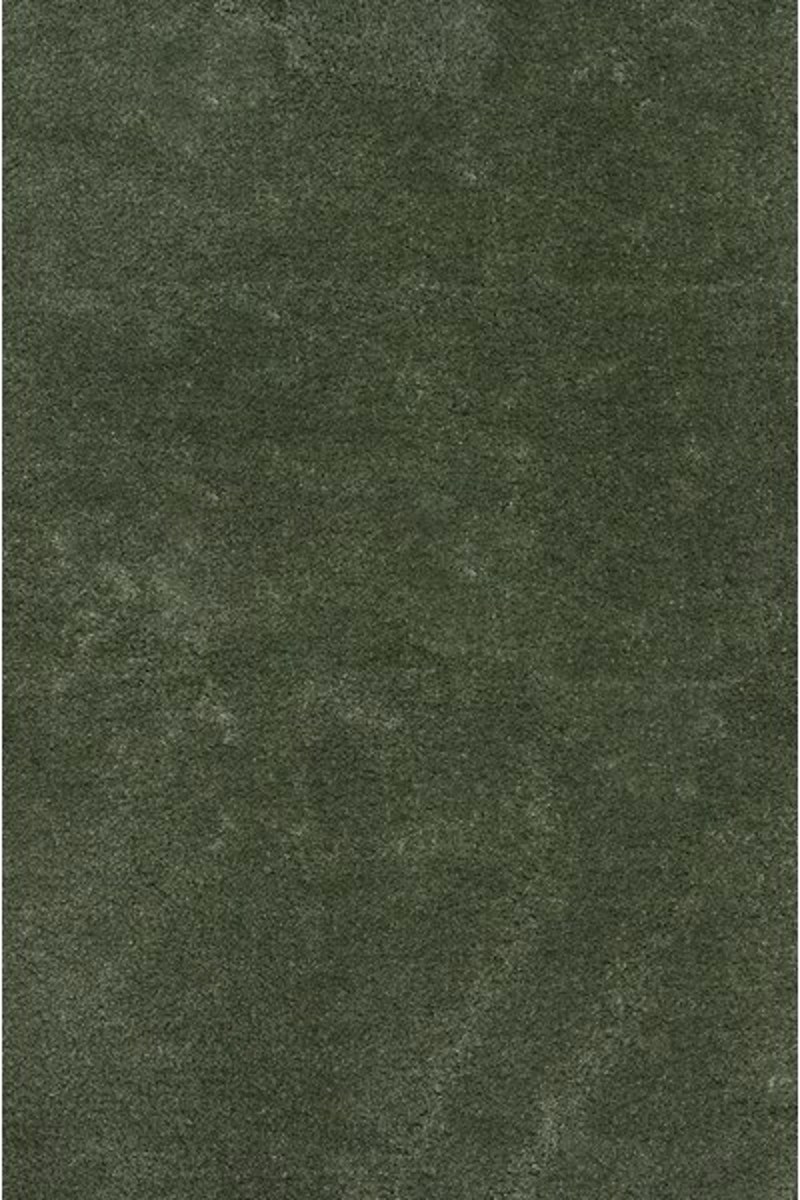 Χαλιά agiovlasitishome - ΣΗΜΑΝΤΙΚΟ: Σε περίπτωση διαφοράς τιμής από το κατάστημα ισχύει παντα και μόνο η τιμή του καταστήματος ΒΙΟΚΑΡΠΕΤ Υφαντή Μοκέτα 'Relax' 250-40 Green σε Επιθυμη