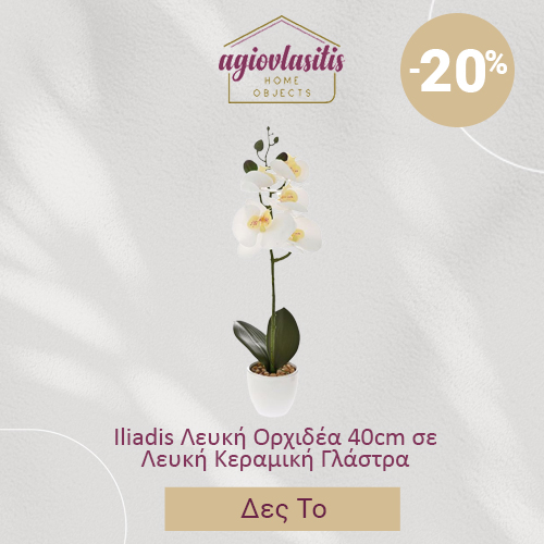 Iliadis Λευκή Ορχιδέα 40cm σε Λευκή Κεραμική Γλάστρα