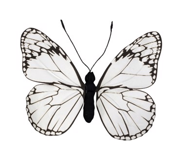 Διακοσμητικό Τοίχου Πεταλούδα Χάρτινο Λευκό 80Χ70Χ7εκ FTE332K3 Espiel