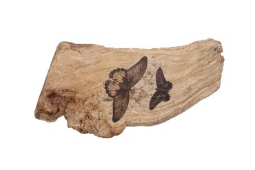 Επιτραπέζιο Διακοσμητικό από Ξύλο με Σχέδιο Πεταλούδες 16Χ10Χ4.5εκ FTE345K6 Espiel