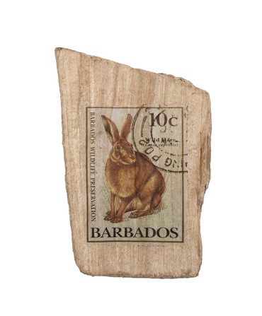 Ξύλινο Διακοσμητικό με Σχέδιο Λαγός 20Χ12Χ4.5εκ FTE349K6 Espiel