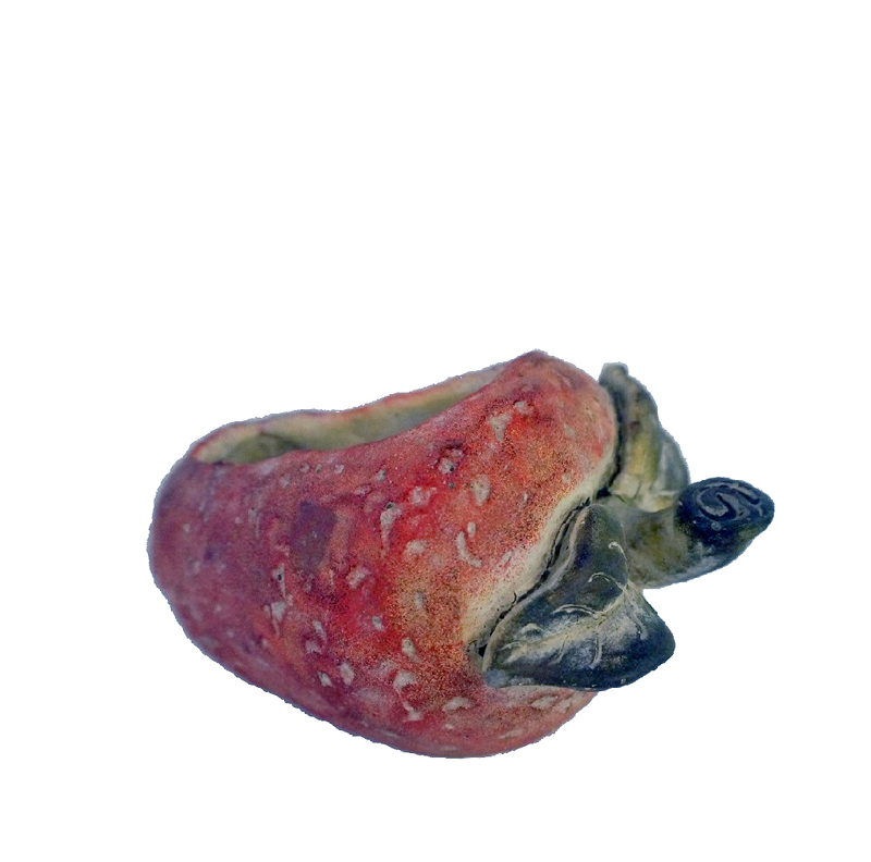 Γλάστρες - Ζαρντινιέρες agiovlasitishome - ΣΗΜΑΝΤΙΚΟ: Σε περίπτωση διαφοράς τιμής από το κατάστημα ισχύει παντα και μόνο η τιμή του καταστήματος Κασπό 'Φράουλα' Κεραμικό 20εκ JOE210 Espiel