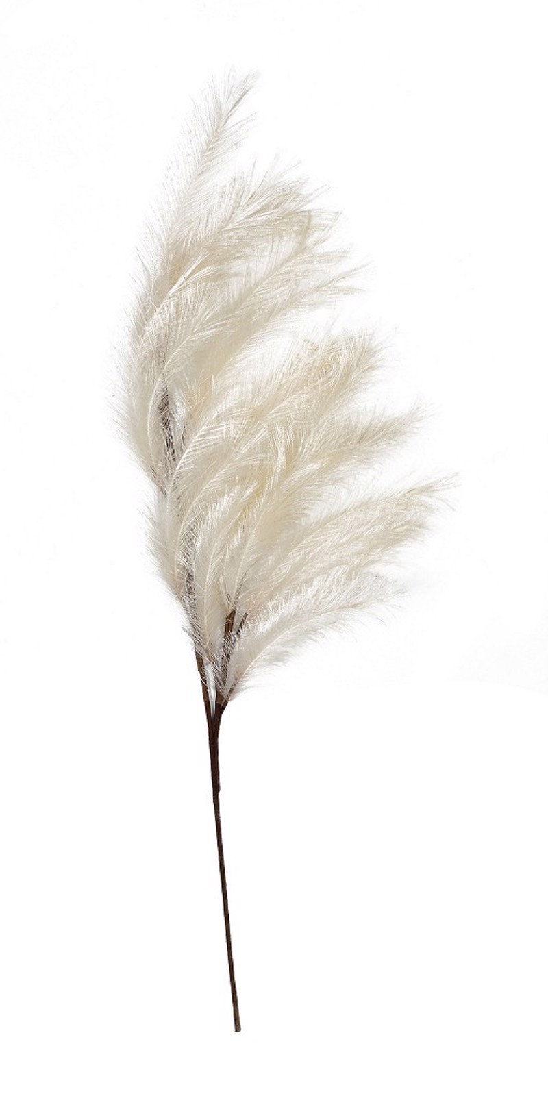 Γλάστρες - Ζαρντινιέρες agiovlasitishome - ΣΗΜΑΝΤΙΚΟ: Σε περίπτωση διαφοράς τιμής από το κατάστημα ισχύει παντα και μόνο η τιμή του καταστήματος Espiel Λουλούδι Κρεμ Υ112εκ LOL826K12