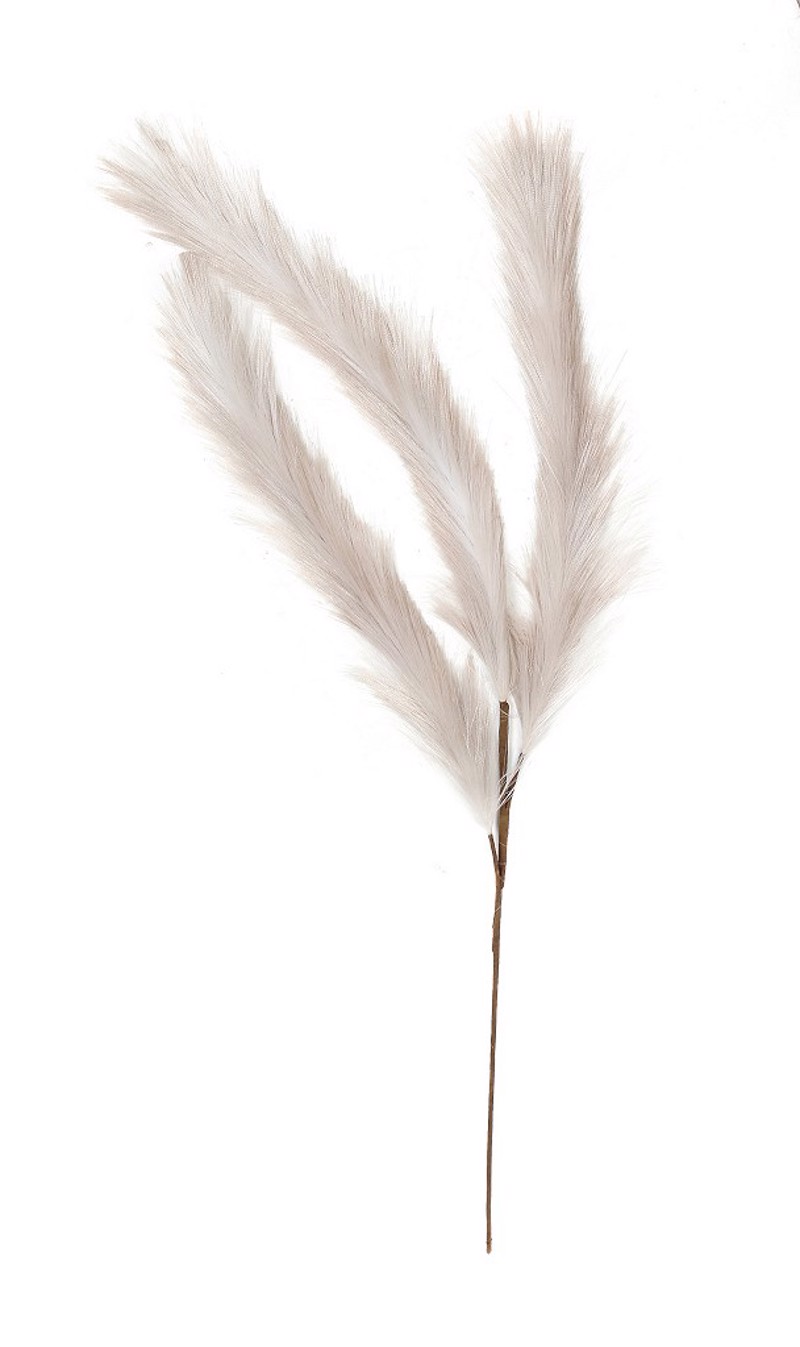 Γλάστρες - Ζαρντινιέρες agiovlasitishome - ΣΗΜΑΝΤΙΚΟ: Σε περίπτωση διαφοράς τιμής από το κατάστημα ισχύει παντα και μόνο η τιμή του καταστήματος Τεχνητό Διακοσμητικό Λουλούδι Μπεζ 112εκ LOL834K12 Espi