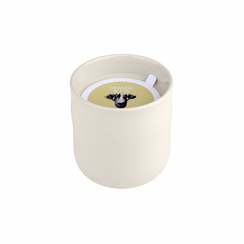 Estia Αρωματικό Κερί ORANGE BLISS 289g 04-36492