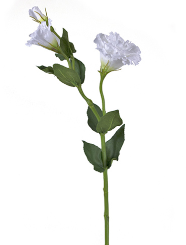 ZAROS Διακοσμητικό Φυτό Λυσίανθος με Μπουμπούκι Λευκό AX230