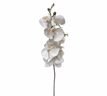 ZAROS Ορχιδέα φαλένοψις λευκή/κίτρινη, 94cm AX722