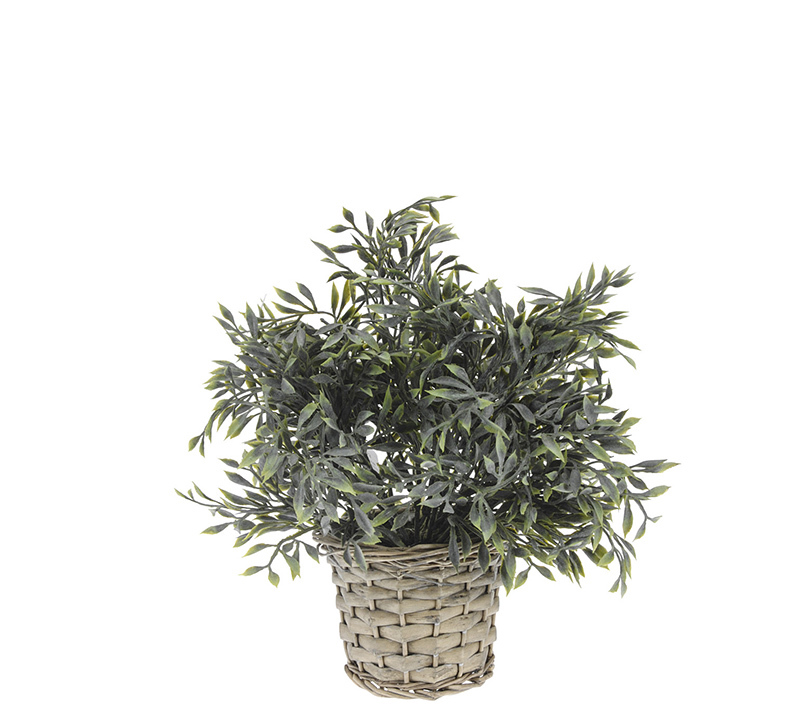 Γλάστρες - Ζαρντινιέρες agiovlasitishome - ΣΗΜΑΝΤΙΚΟ: Σε περίπτωση διαφοράς τιμής από το κατάστημα ισχύει παντα και μόνο η τιμή του καταστήματος ZAROS Τεχνητό Φυτό με Γλαστράκι Rattan σε Διάφορα Σχέδι