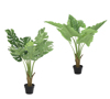 Zaros Texnito Futo Monstera/Filodendro me Kaspo 90cm FL135