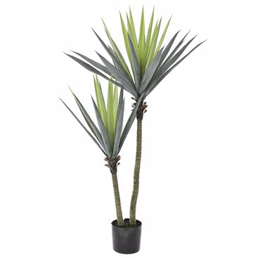 Iliadis Τεχνητό Διακοσμητικό Φυτό Sisal με Γλάστρα 160εκ 76891