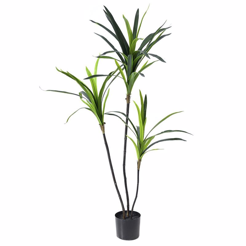 Iliadis Τεχνητό Δέντρο Δράκαινα 150cm σε Μαύρη Πλαστική