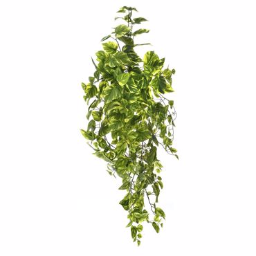 Iliadis Κρεμαστή Ρίζα Πόθος 100cm με 388 Φύλλα 77865