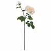 ILIADIS KLADI KREM TRIANTAFuLLO ME MPOuMPOuKI 67cm 77938
