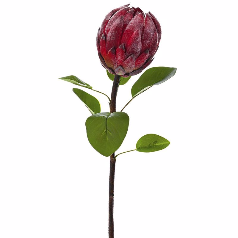 ILIADIS ΚΛΑΔΙ ΚΟΚΚΙΝΟΣ ΠΡΩΤΕΑΣ 74cm 77947