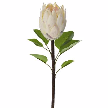 Iliadis Τεχνητό Διακοσμητικό Φυτό με Ανθός Πρωτέας Κρεμ 67εκ 77948