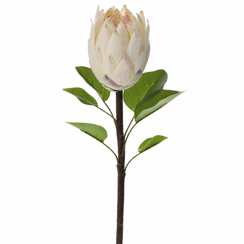Iliadis Τεχνητό Διακοσμητικό Φυτό με Ανθός Πρωτέας Κρεμ