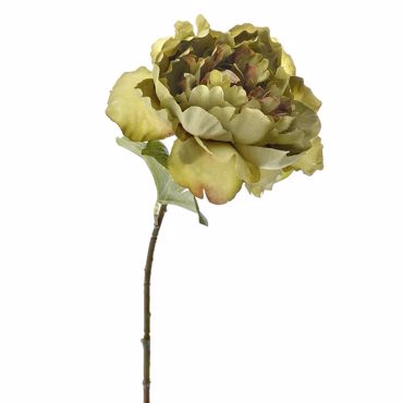 Iliadis Κλαδί Πράσινη Παιώνια 51εκ 78065