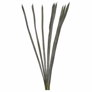 Iliadis Ματσάκι διακοσμητικό με δέκα μακριά πράσινα φύλλα 95 εκ 78346