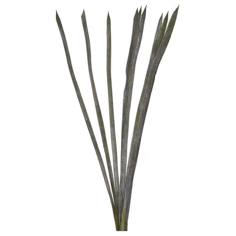 Iliadis Ματσάκι διακοσμητικό με δέκα μακριά πράσινα φύλ