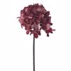Iliadis Ortansia Fouxia Kladi 54cm 81465