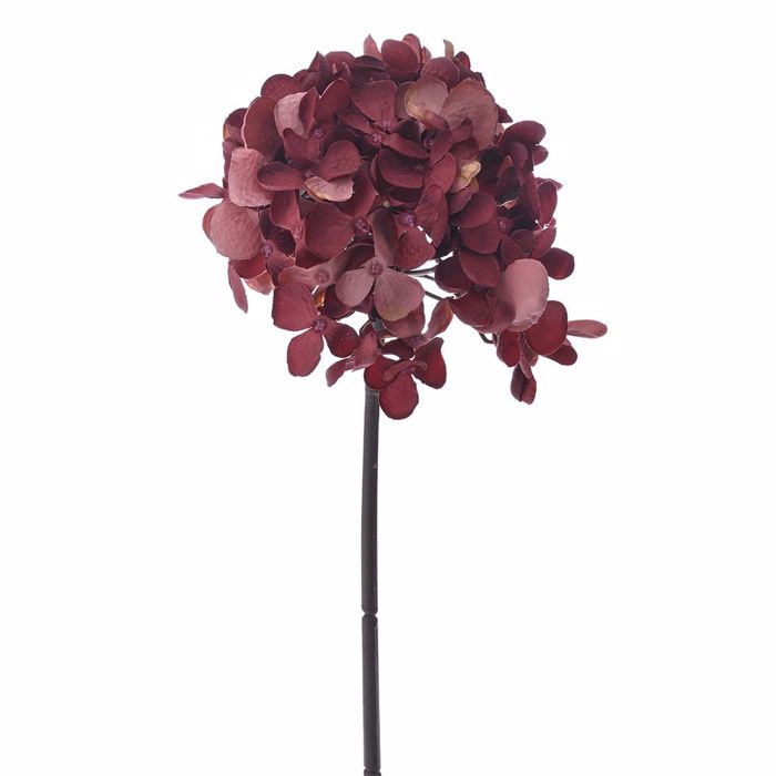 Iliadis Ortansia Fouxia Kladi 54cm 81465