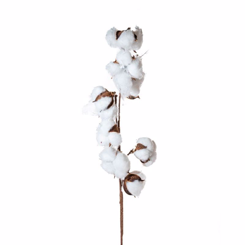 Iliadis Καφέ Κλαδί με 8 Βαμβάκια 83cm 82032