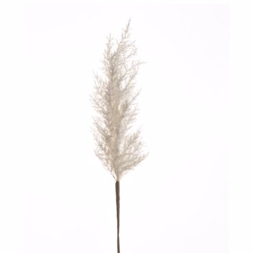 Iliadis Κλαδί Pampas Φυσικό Λευκό 100cm 84720
