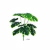 Iliadis Riza Monstera Me 12 Fulla 60Ek 85124