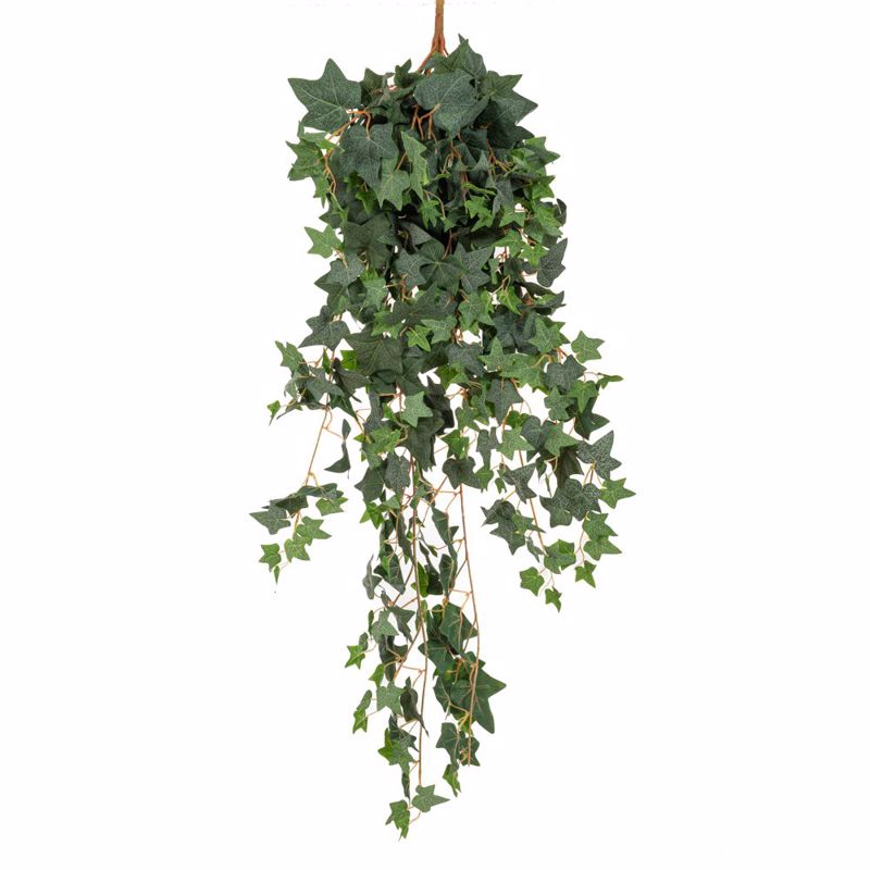 Γλάστρες - Ζαρντινιέρες agiovlasitishome - ΣΗΜΑΝΤΙΚΟ: Σε περίπτωση διαφοράς τιμής από το κατάστημα ισχύει παντα και μόνο η τιμή του καταστήματος Iliadis Κρεμαστή Πρασινάδα Κισσός Coated 120cm 86059