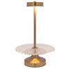 Iliadis Piatela Gyalini se Xrusi Metalliki Basi me Lampa USB F25x40cm 88504