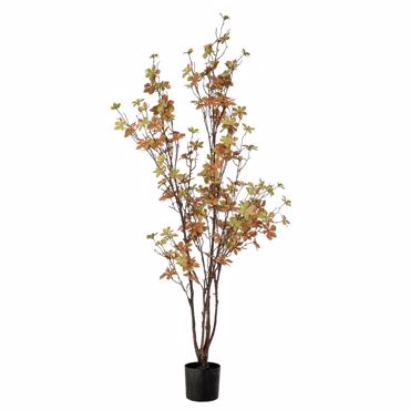 Iliadis Φυτό Enkianthus 120cm με 150 Φύλλα σε Πλαστικό Κασπώ Φ12.5x11.5cm 89786