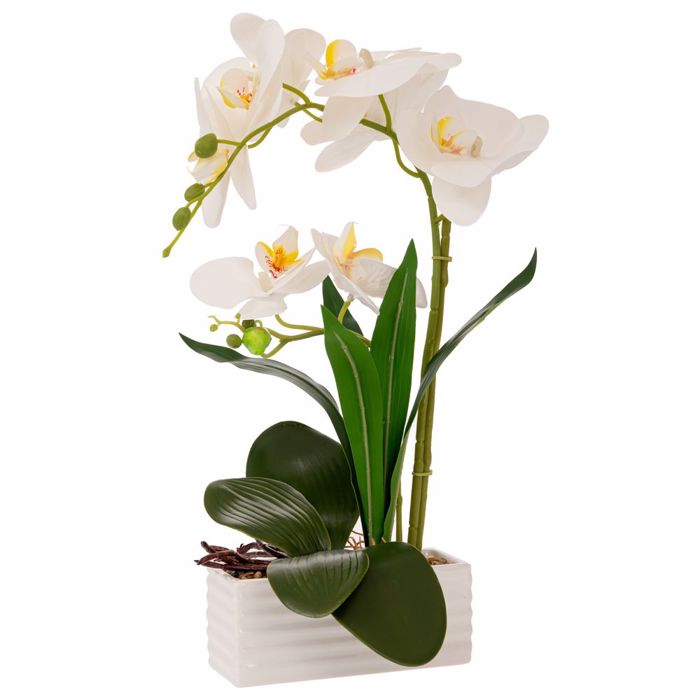 Iliadis Lefki Orxidea se Lefko Keramiko Kaspo 43cm 89987