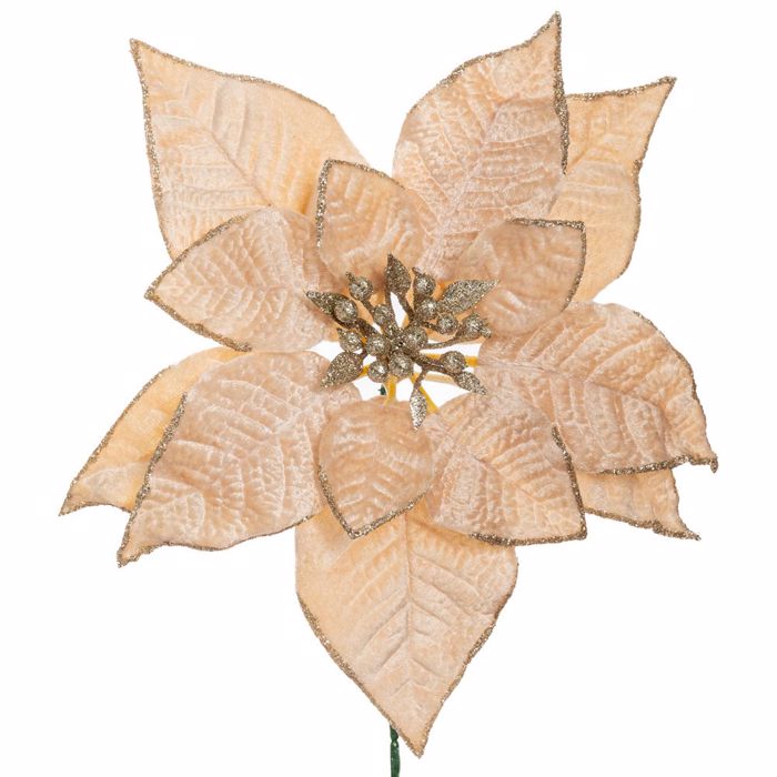 Iliadis Sampani Alexandrino Pik F22x24cm 90361